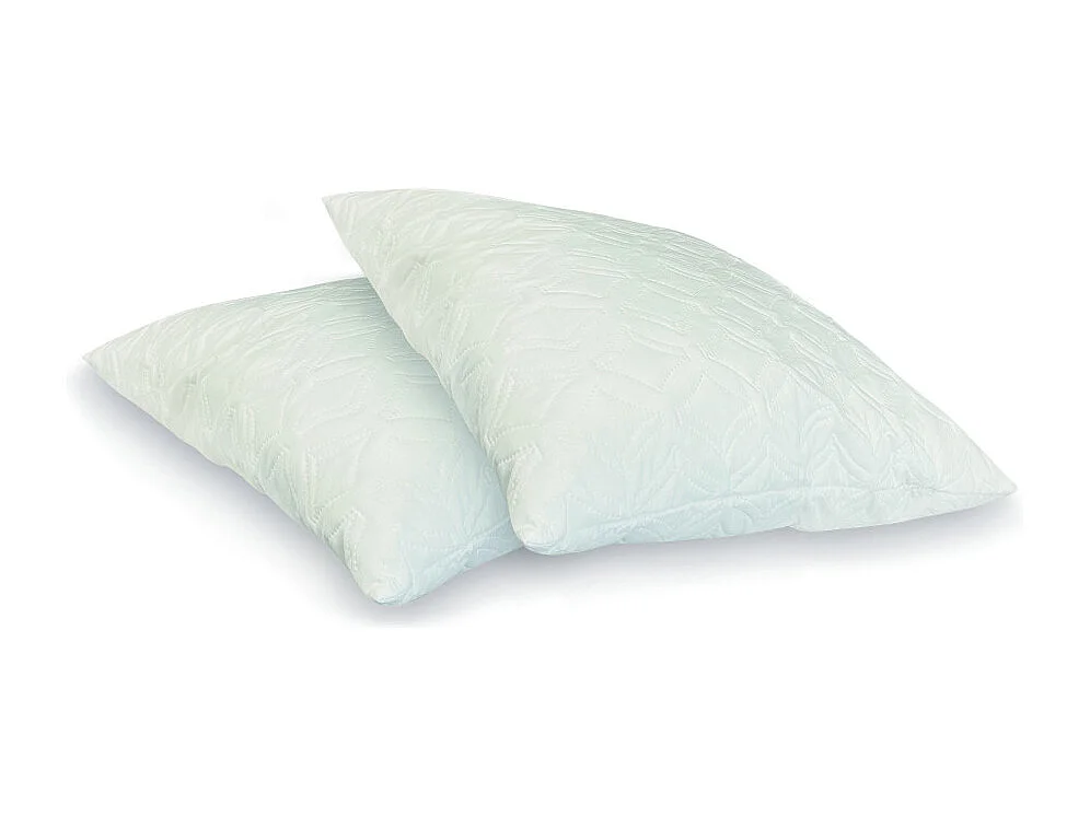 2 stevige traagschuimkussens, anti-huisstofmijt en anti-allergisch, 60 x 60 cm