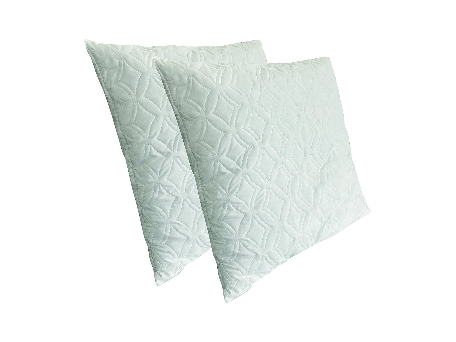 2 oreillers fermes à mémoire de forme anti-acariens et anti-allergéniques 60 x 60 cm