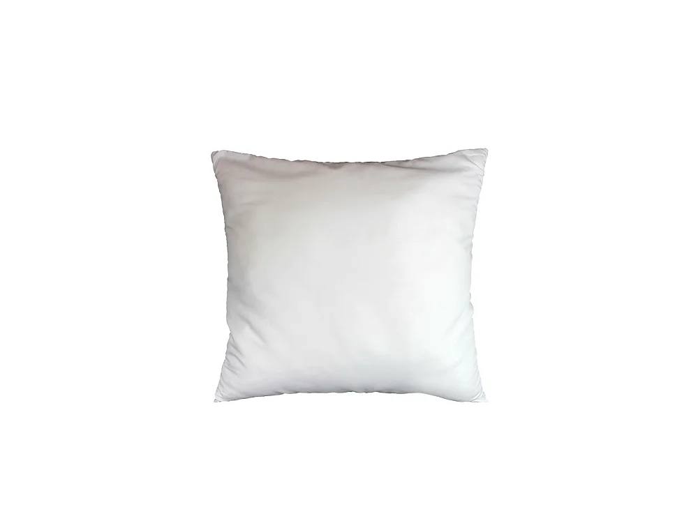 Lot de 2 Oreillers, Uni Confort, 60 X 60cm Garnissage Polyester
