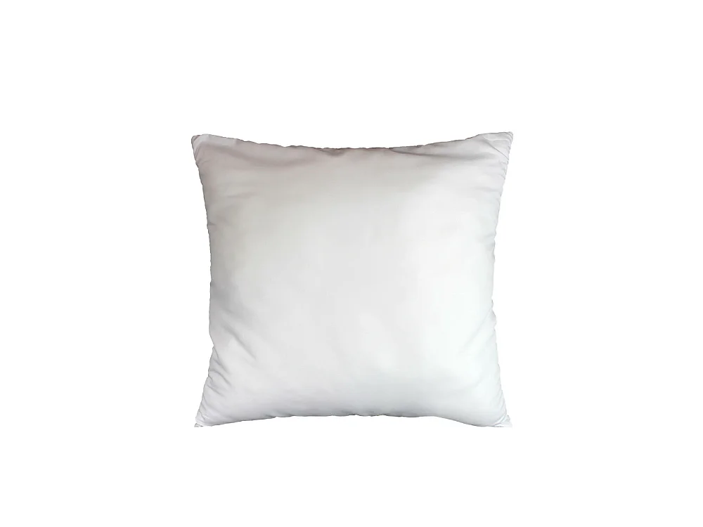 Lot de 2 Oreillers, Uni Confort, 60 X 60cm Garnissage Polyester