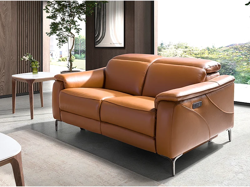 2-zits relaxsofa in bruin leer 6180 ANGEL CERDA
