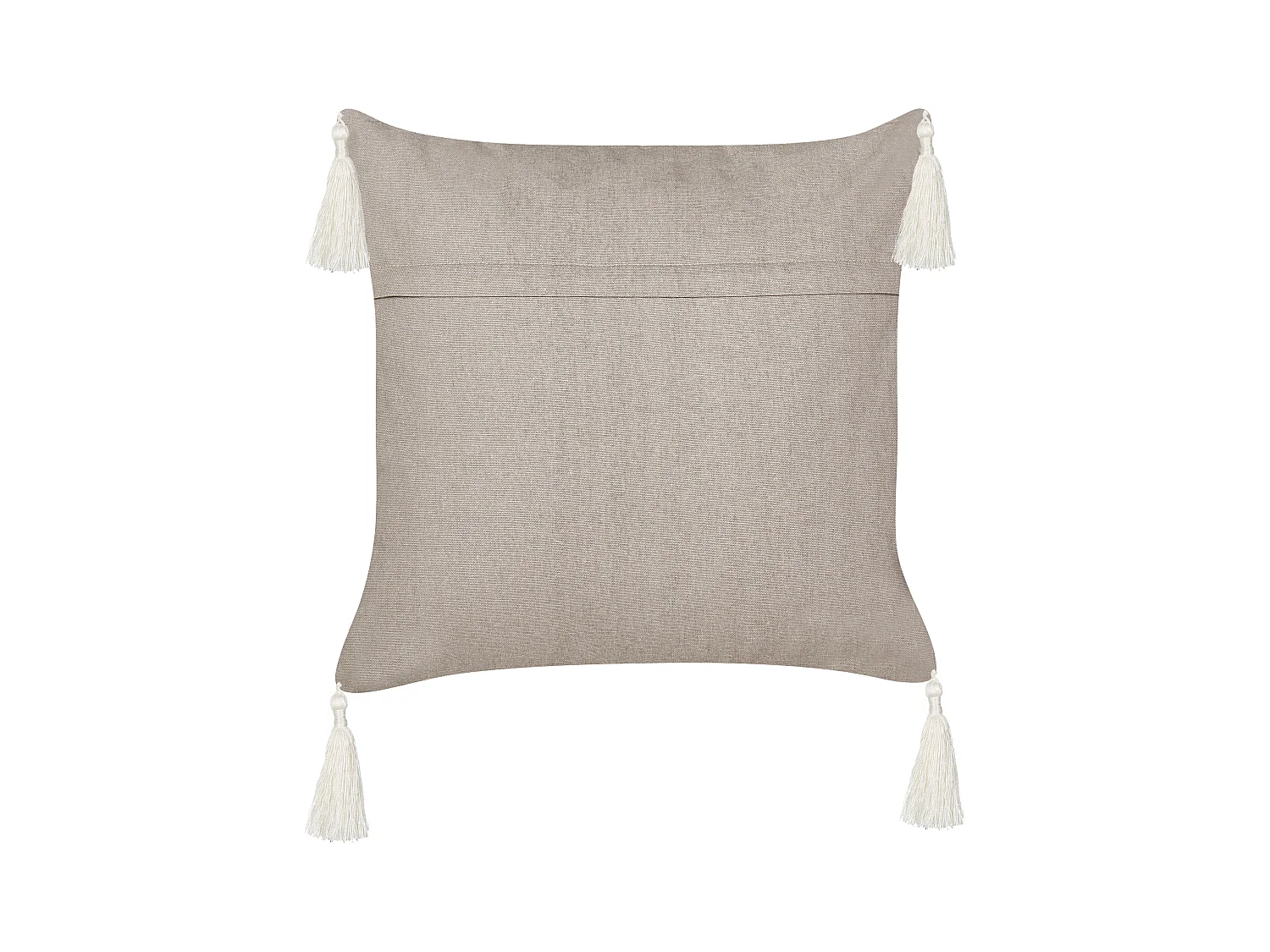 Coussin MAZZAELLA Velours 45 x 45 cm Taupe Motif de plante