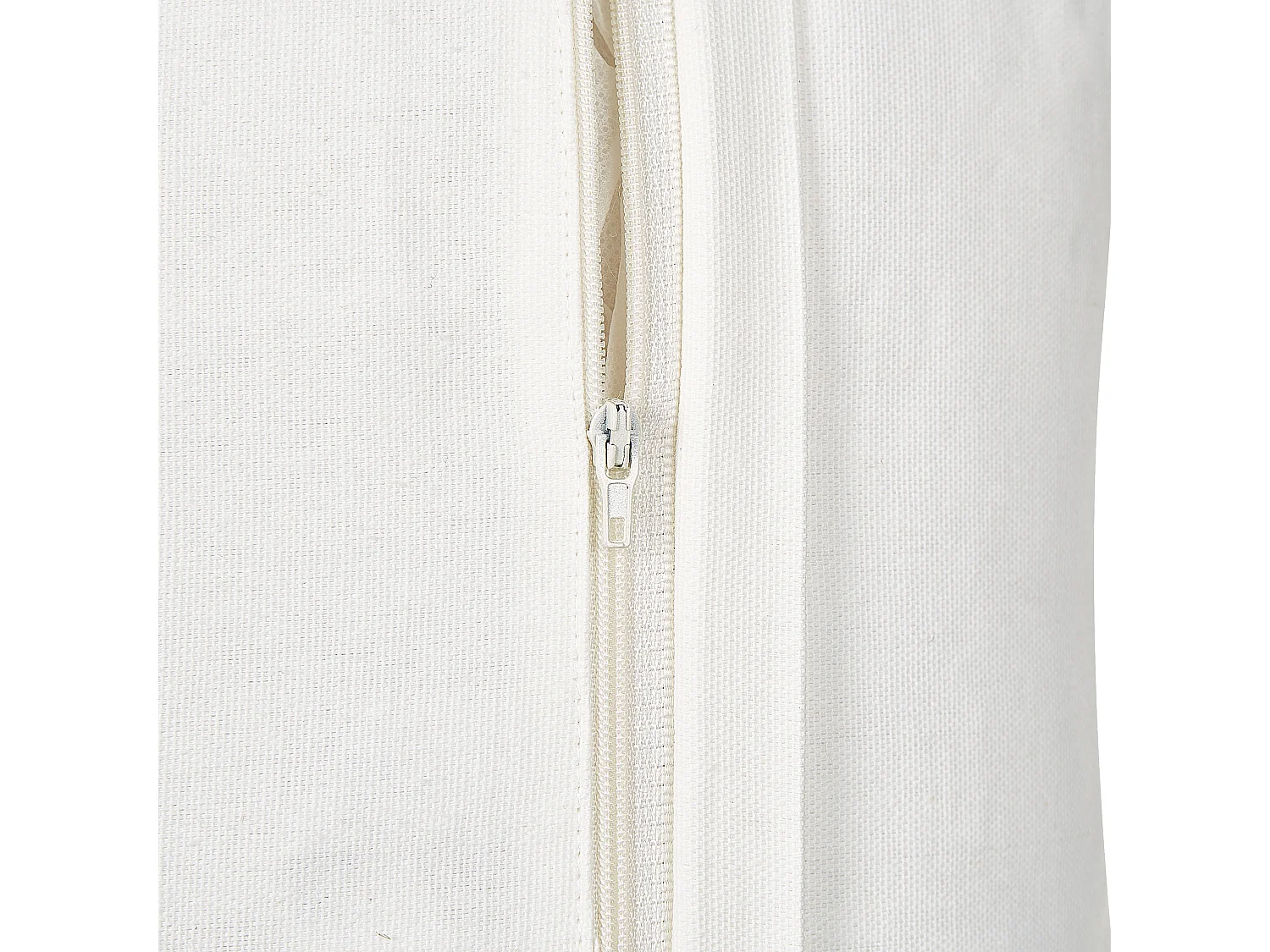 Conjunto de 2 cojines decorativos NOTELEA Algodón 45 x 45 cm Beige Patrón floral