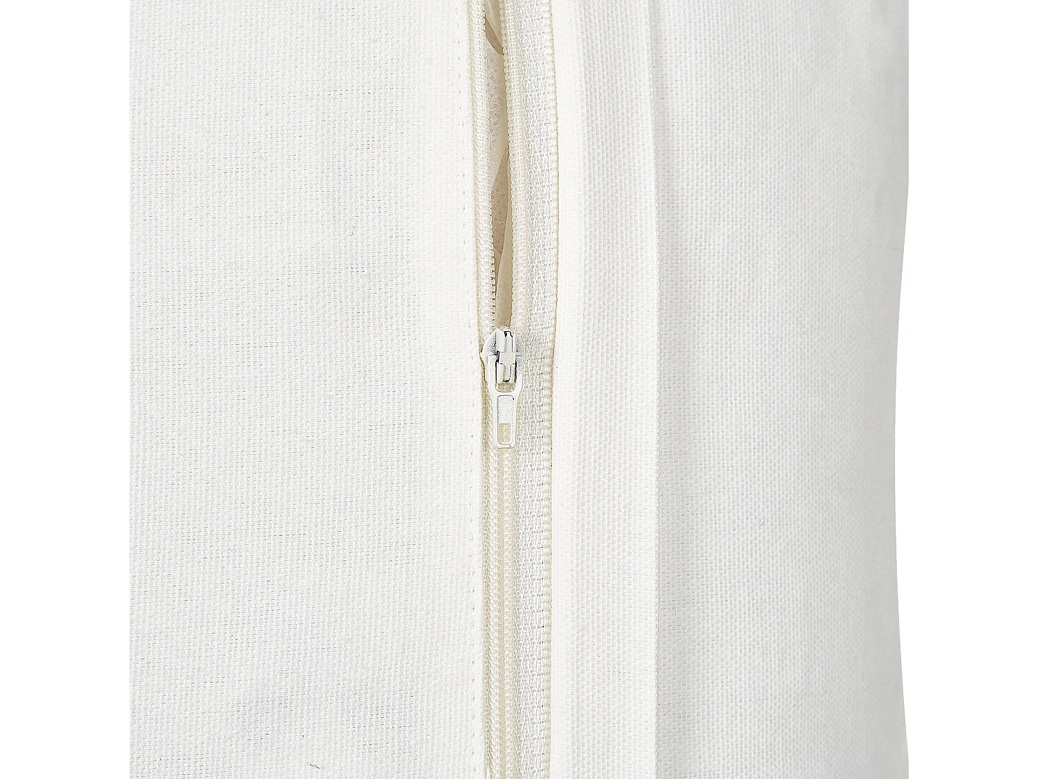 Conjunto de 2 almofadas decorativas NOTELEA Algodão 45 x 45 cm Creme Padrão floral