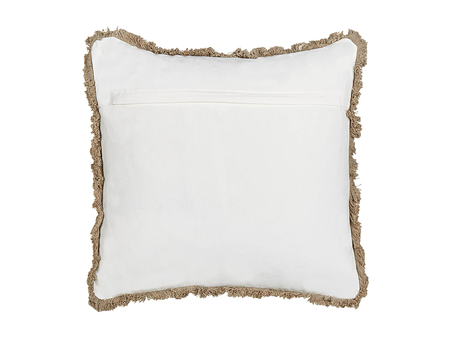 Dekokissen 2er Set Baumwolle beige 45 x 45 cm Blumenmotiv modern Psilotales