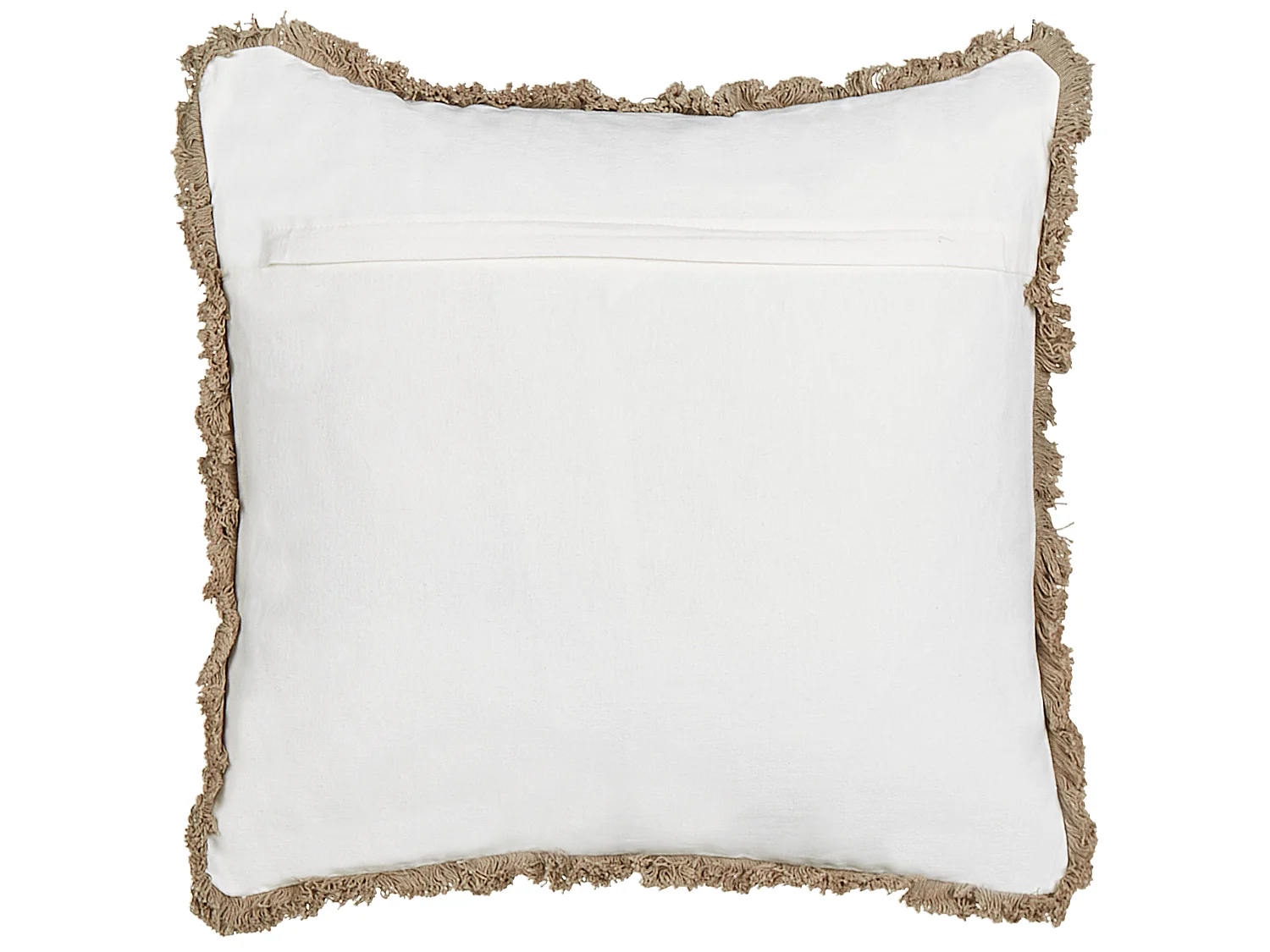Lot de 2 coussins décoratifs PSILOTALES Coton 45 x 45 cm Beige Motif floral