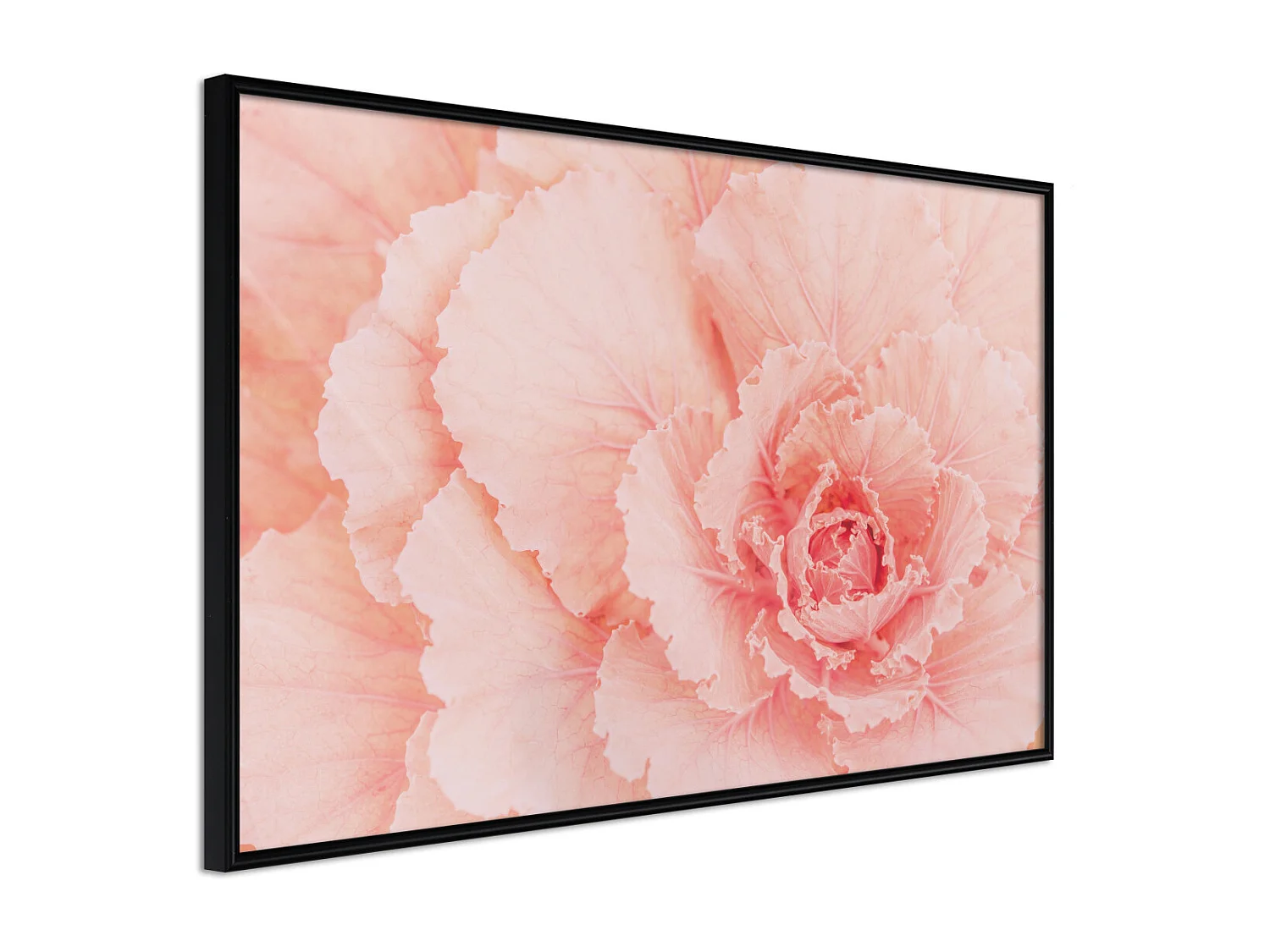 Affiche Murale Encadrée "Delicate Petals" 30 x 20 cm Noir