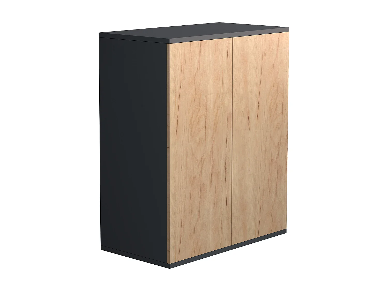 Commode Sideboard Dalosa 2 portes battantes