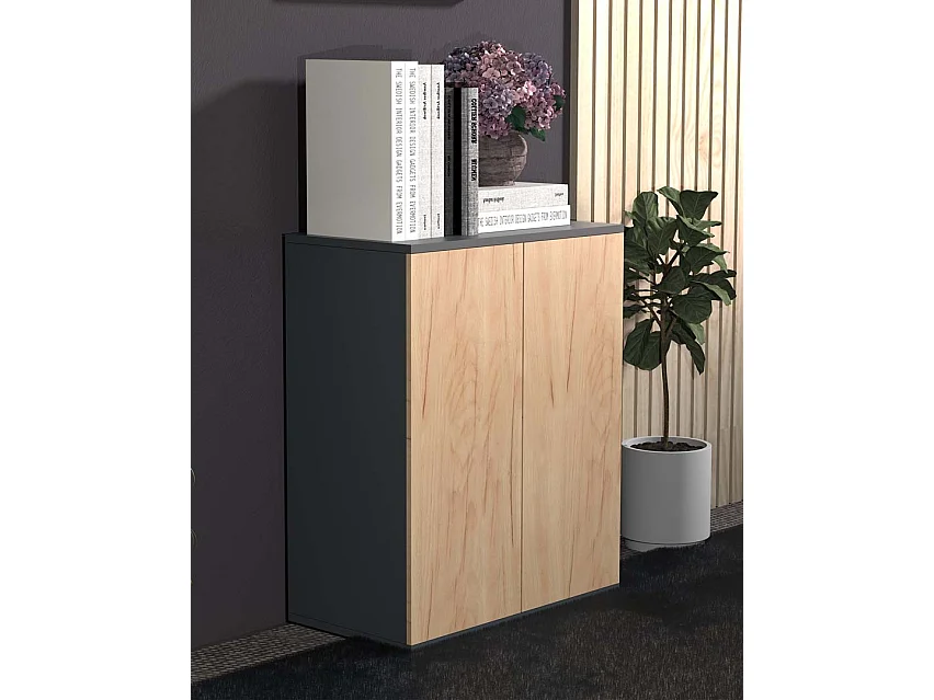 Commode Sideboard Dalosa 2 portes battantes