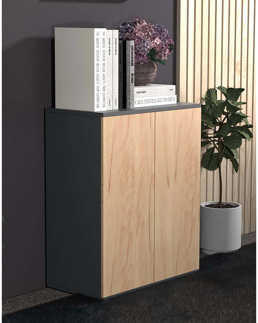 VCM Cômoda em madeira | Prancha lateral com portas giratórias | Dimensões aprox. A. 73 x L. 60 x P. 32 cm - Dalosa 2 (antracite / carvalho mel)