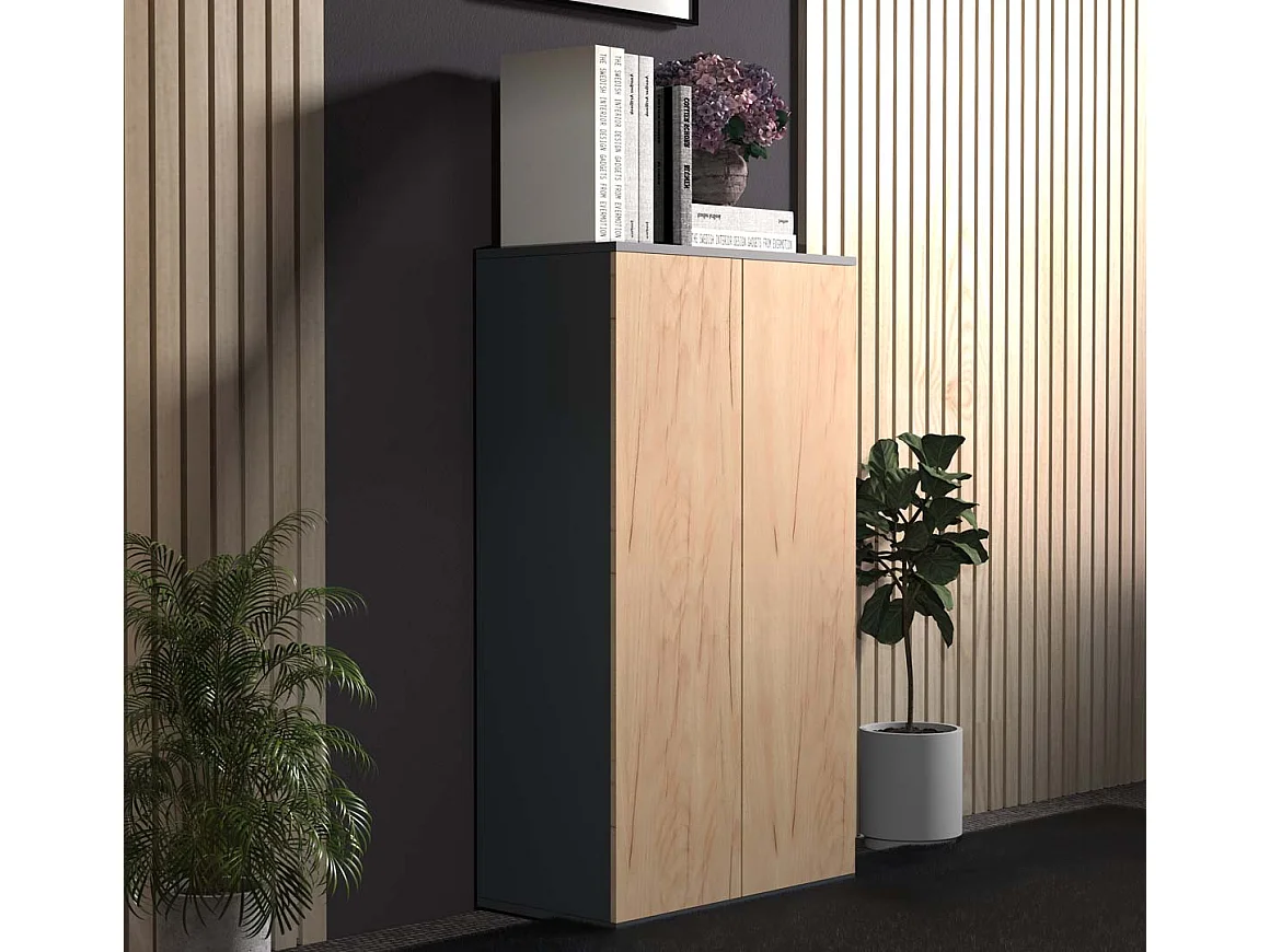 Dalosa3 buffet 2 portes anthracite, chêne décor.