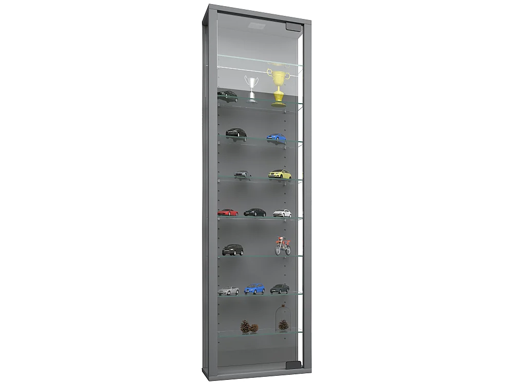 StanoMaxi vitrines en verre accroché au mur 1 porte en verre couleur argent.