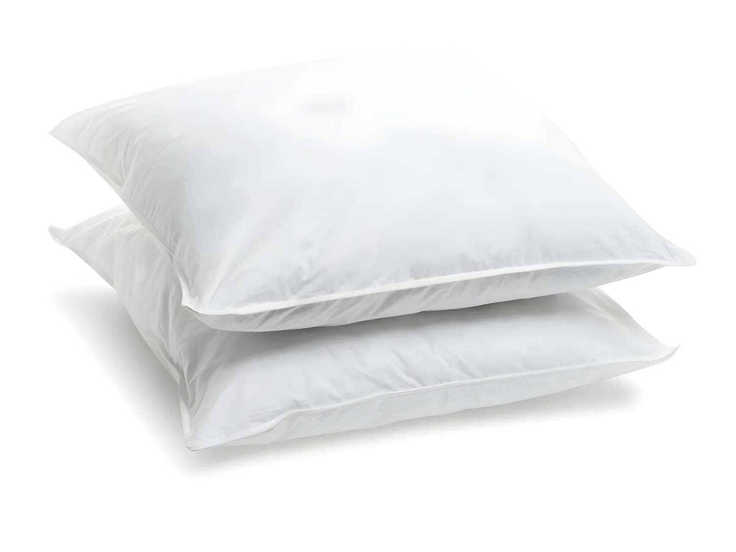 Lot de 2 Oreillers Ferme - 60x60cm