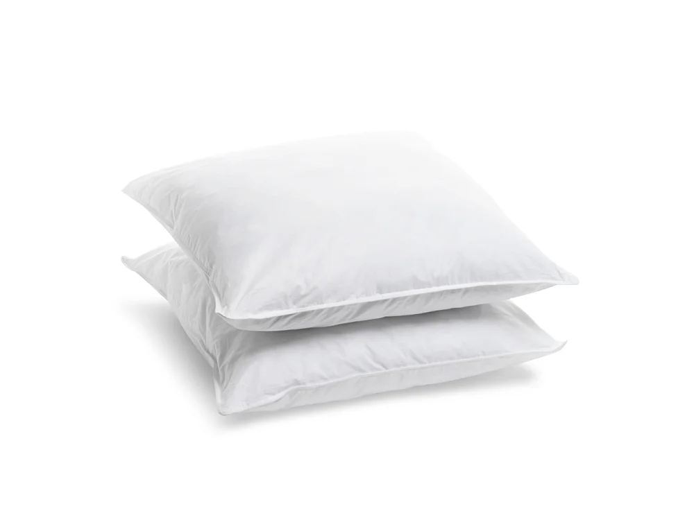 Lot de 2 Oreillers Ferme - 60x60cm