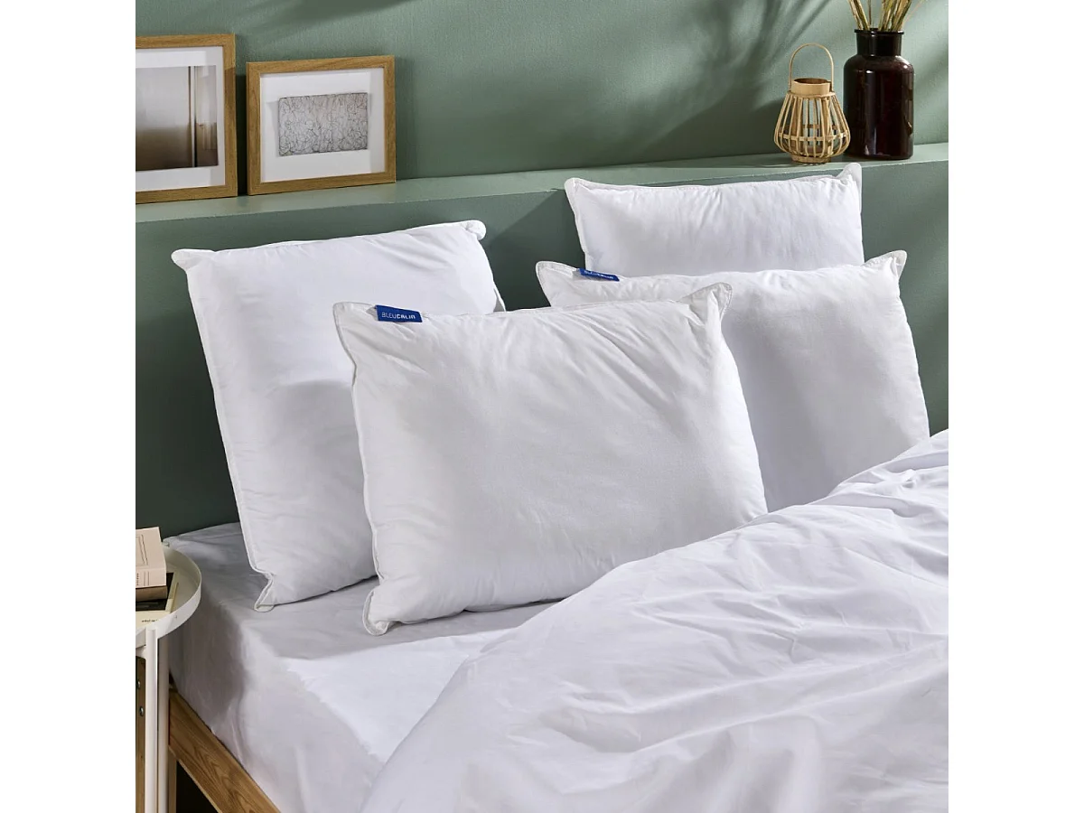 Lot de 2 Oreillers Ferme - 60x60cm