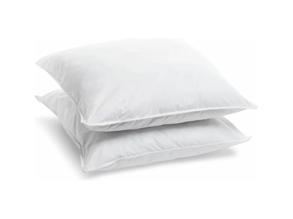 Lot de 2 Oreillers Ferme - 65x65cm