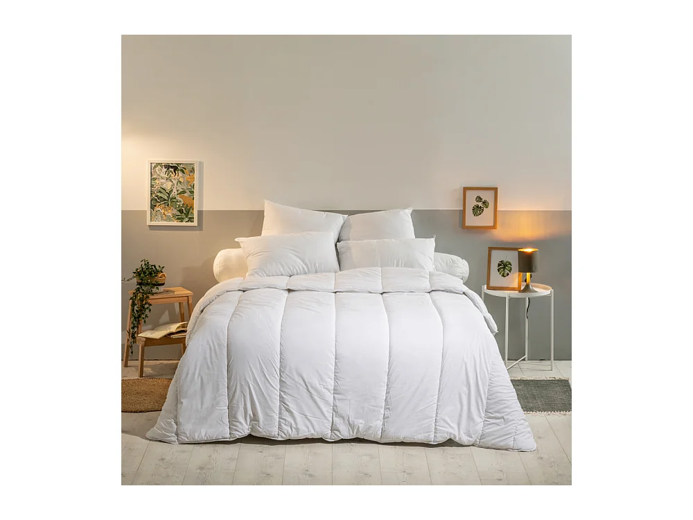 Oreiller Moelleux Lavable à 95° - 60x60cm