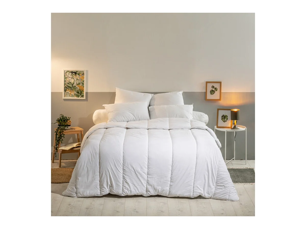 Oreiller Moelleux Lavable à 95° - 60x60cm