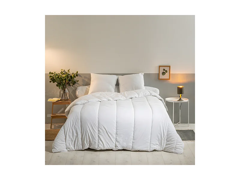 Pack Anti-Acariens Couette 220x240cm + 2 Oreillers 60x60cm