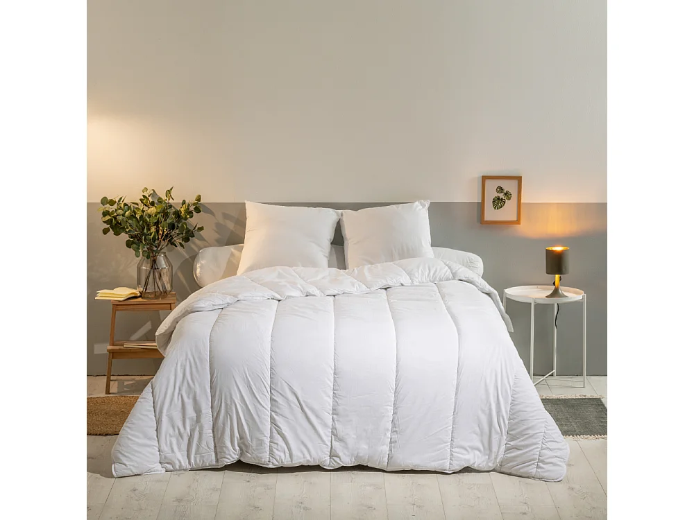 Pack Anti-Acariens Couette 220x240cm + 2 Oreillers 60x60cm