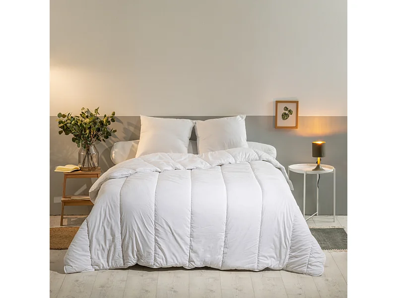 Pack Anti-Acariens Couette 220x240cm + 2 Oreillers 60x60cm