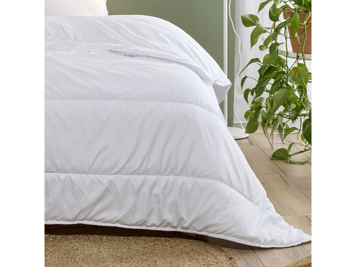 Couette Coton Bio Printemps Eté - Légère 200gr/m2 - 220x240cm