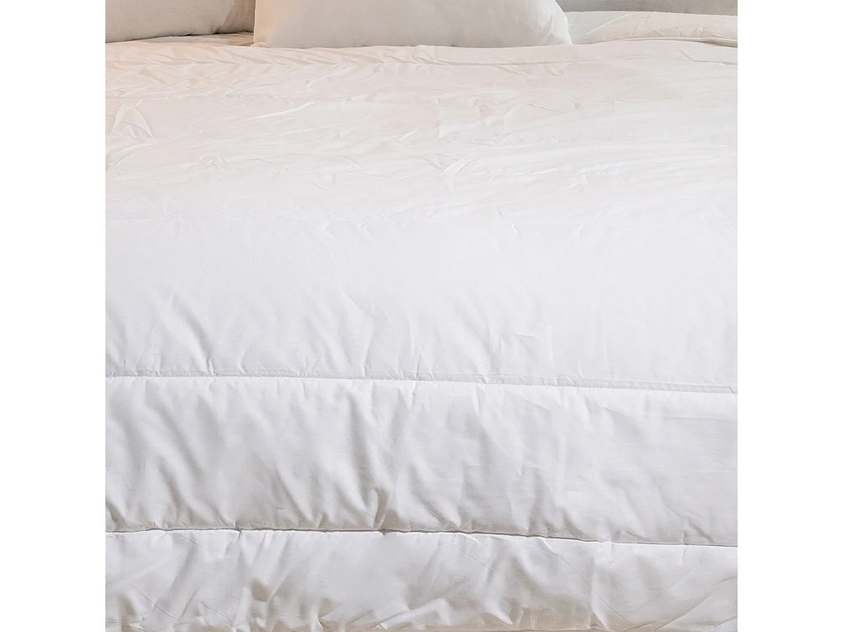 Couette chaude Anti-punaises de lit 200x200cm