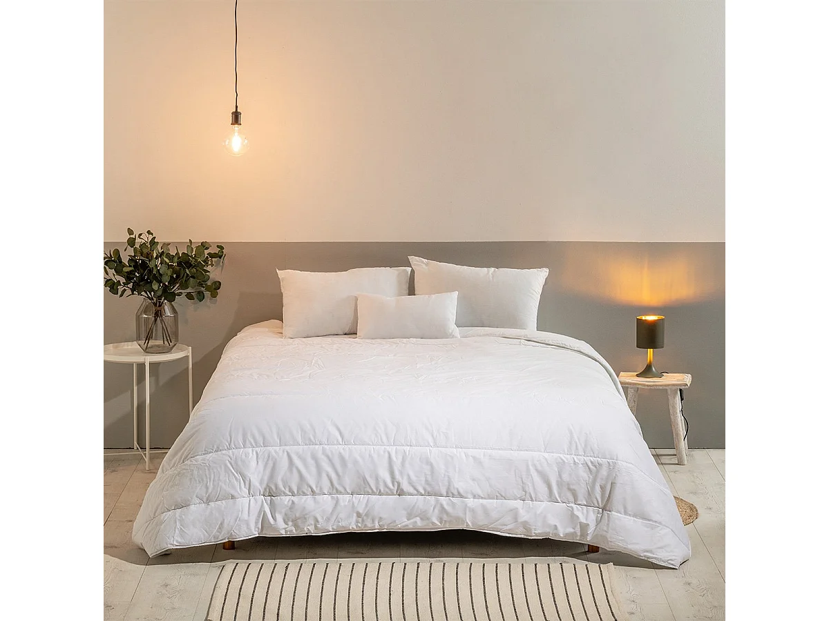 Couette chaude Anti-punaises de lit 220x240cm