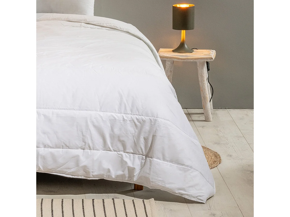 Couette chaude Anti-punaises de lit 220x240cm