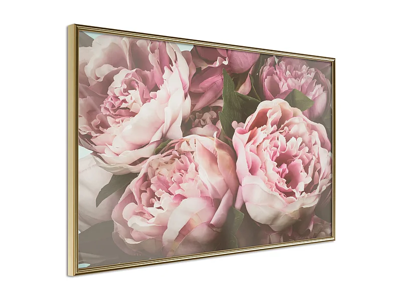 Affiche Murale Encadrée "Pastel Peonies" 60 x 40 cm Or