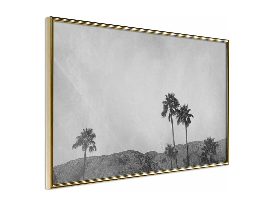 Affiche Murale Encadrée "Sky of California" 60 x 40 cm Or
