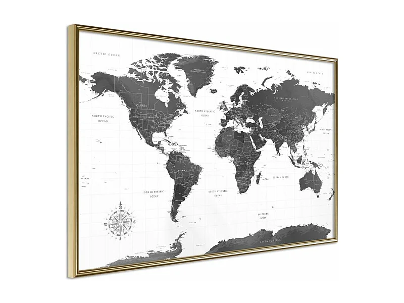 Affiche Murale Encadrée "The World in Black and White" 60 x 40 cm Or