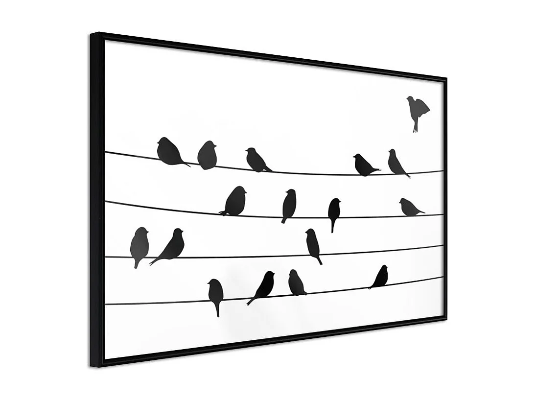 Affiche Murale Encadrée "Birds Council Meeting" 30 x 20 cm Noir