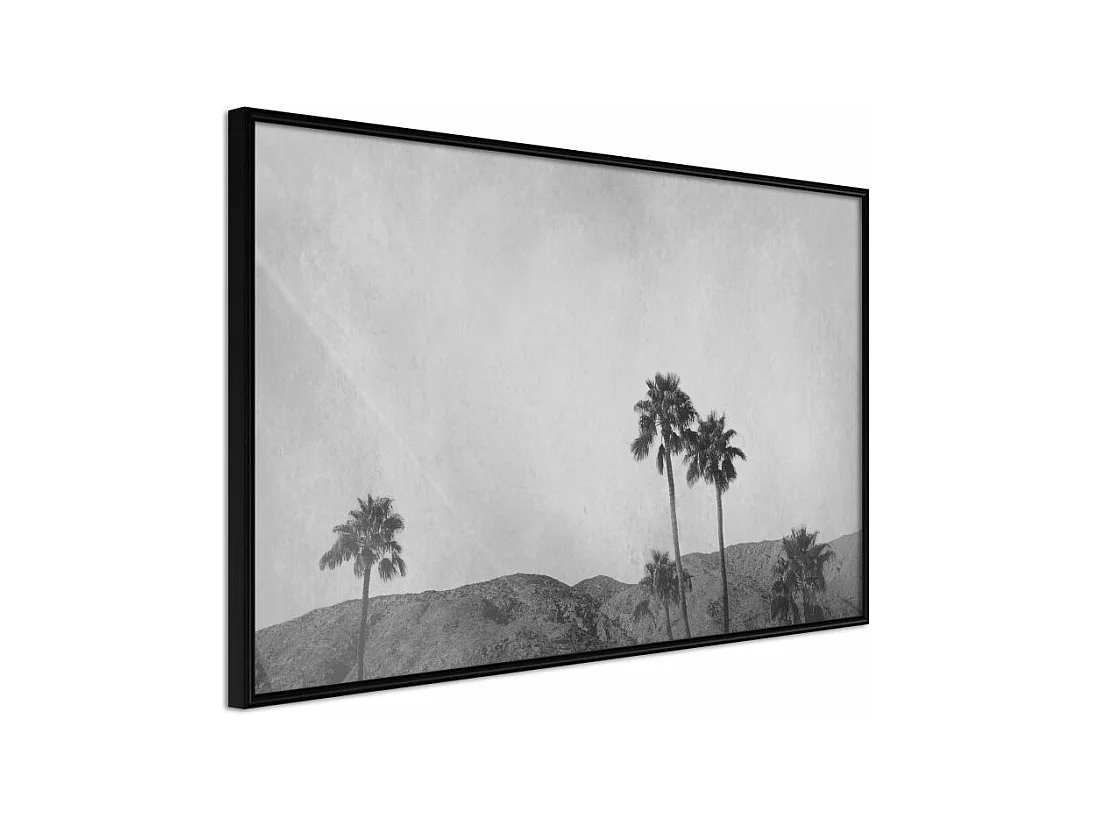 Affiche Murale Encadrée "Sky of California" 90 x 60 cm Noir