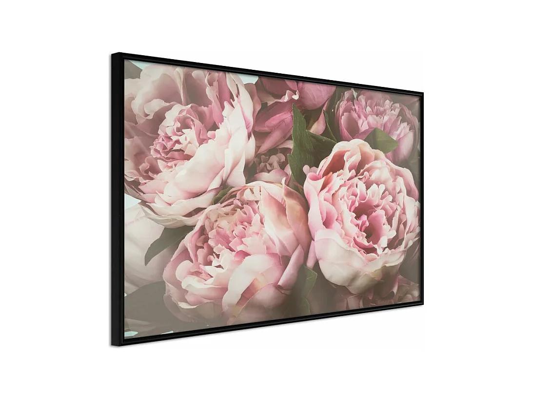 Affiche Murale Encadrée "Pastel Peonies" 30 x 20 cm Noir
