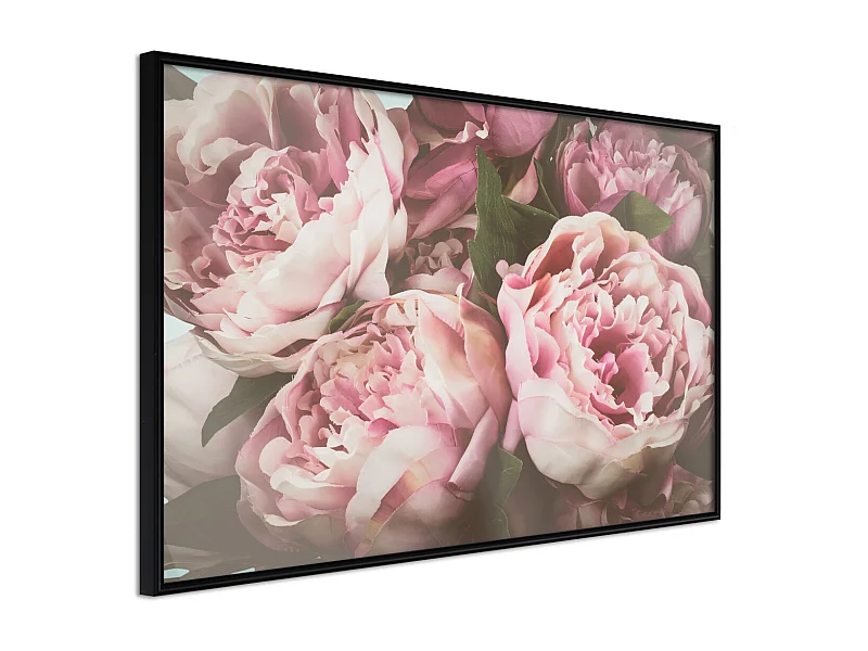 Affiche Murale Encadrée "Pastel Peonies" 30 x 20 cm Noir