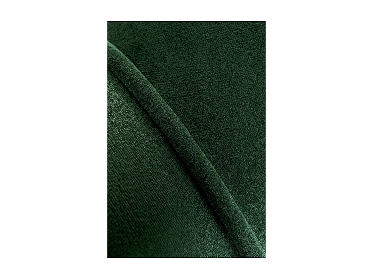 Sessel Water Lily Dunkel Grün