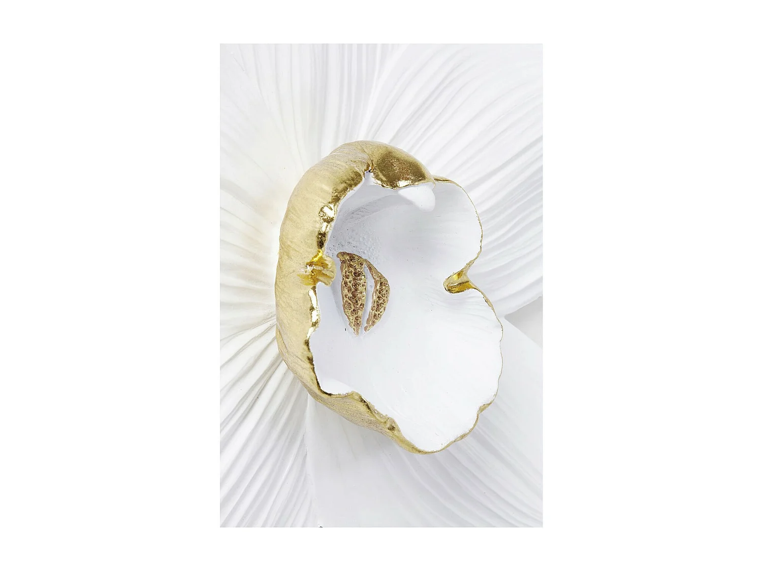 Wandschmuck Orchid Weiß 54cm