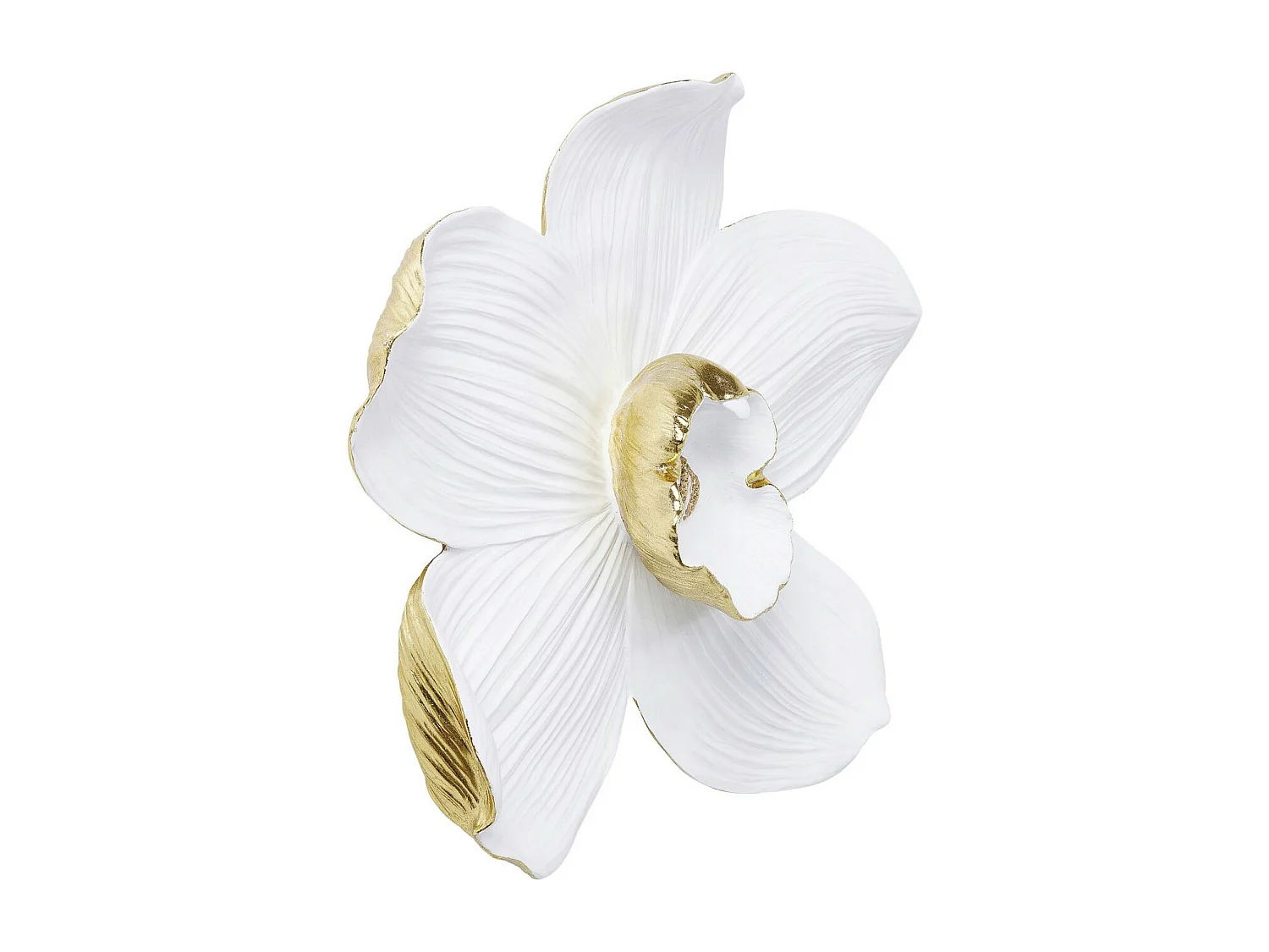 Wandschmuck Orchid Weiß 54cm