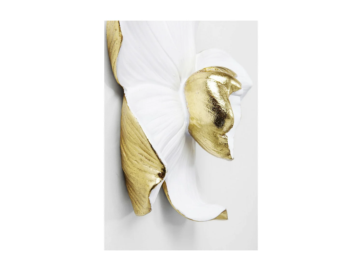 Decorazione da parete Orchid bianco 24x25cm