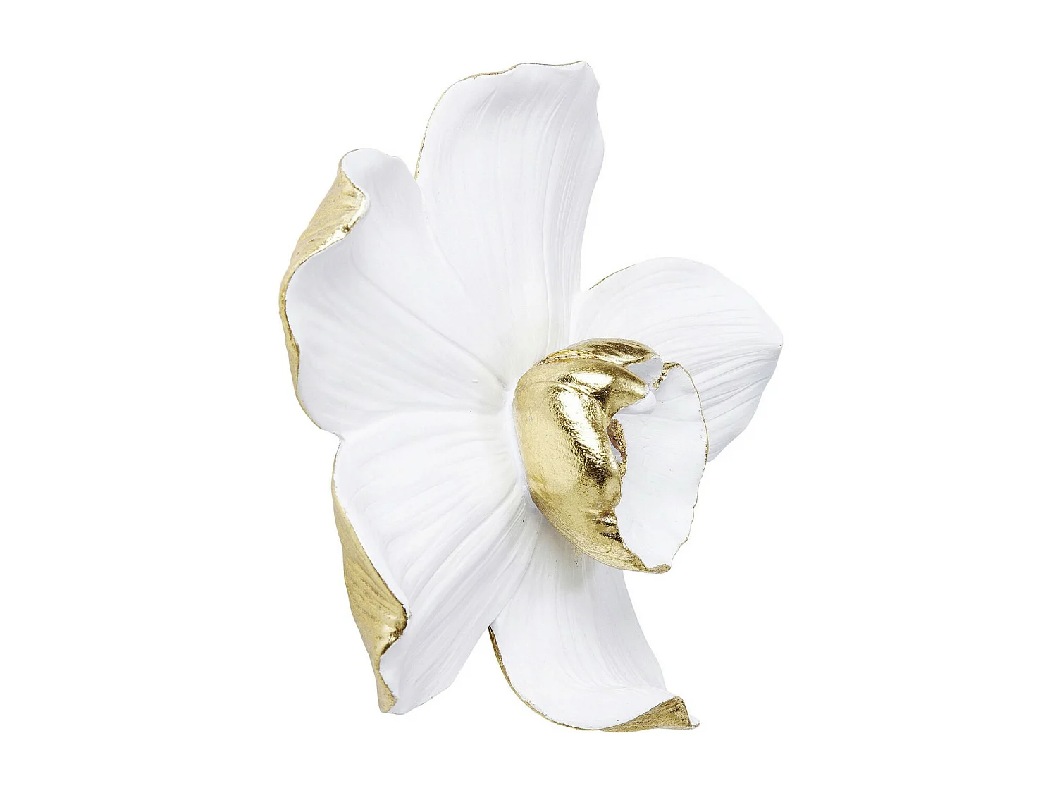 Decorazione da parete Orchid bianco 24x25cm