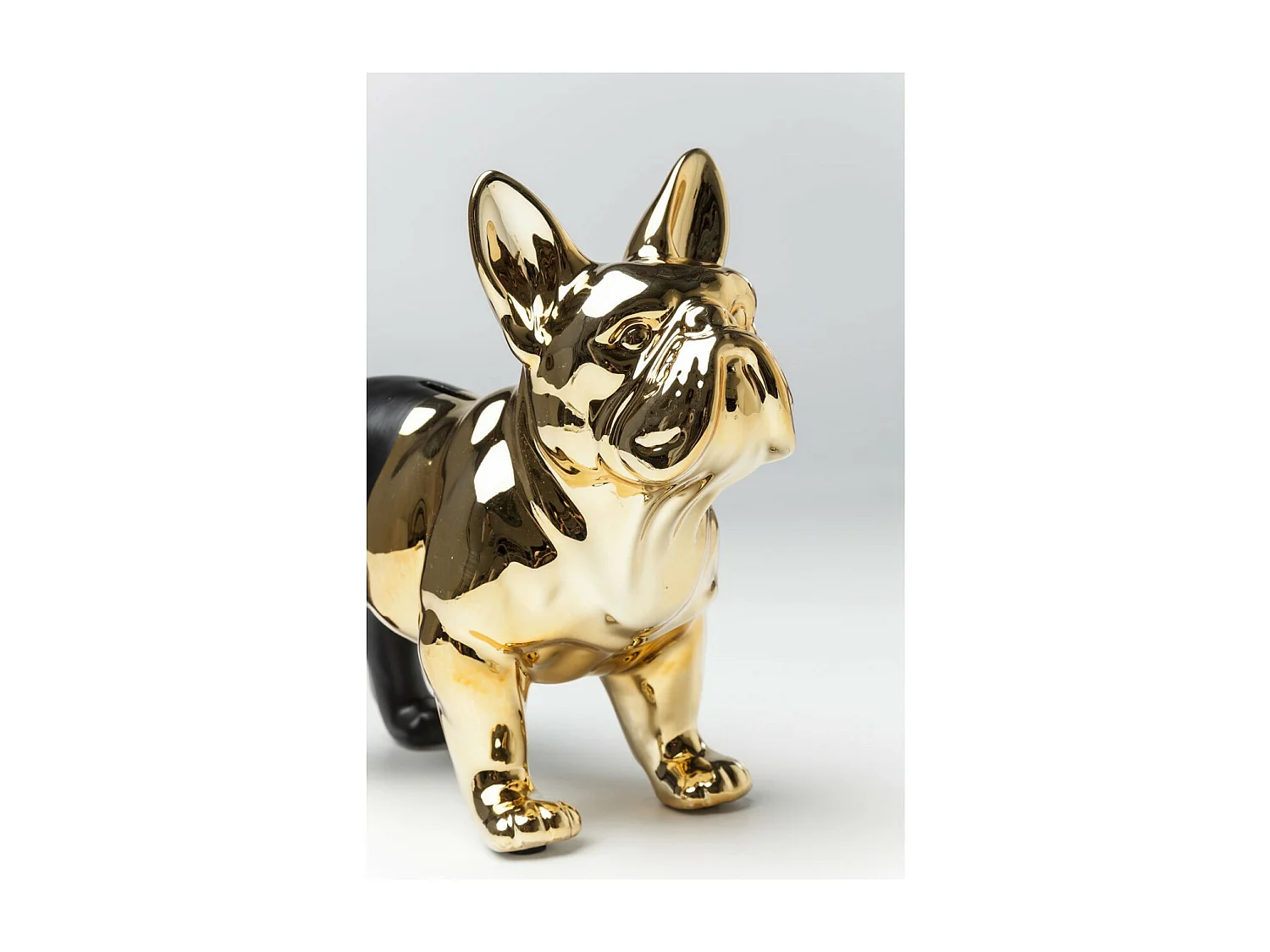Spardose Bulldog Gold-Schwarz