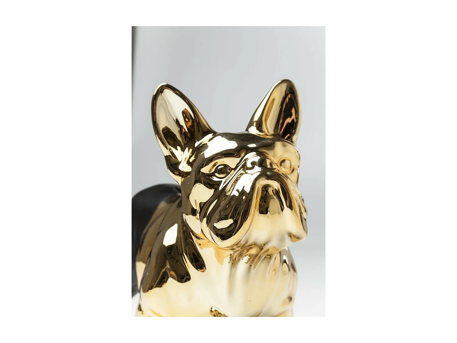 Spardose Bulldog Gold-Schwarz