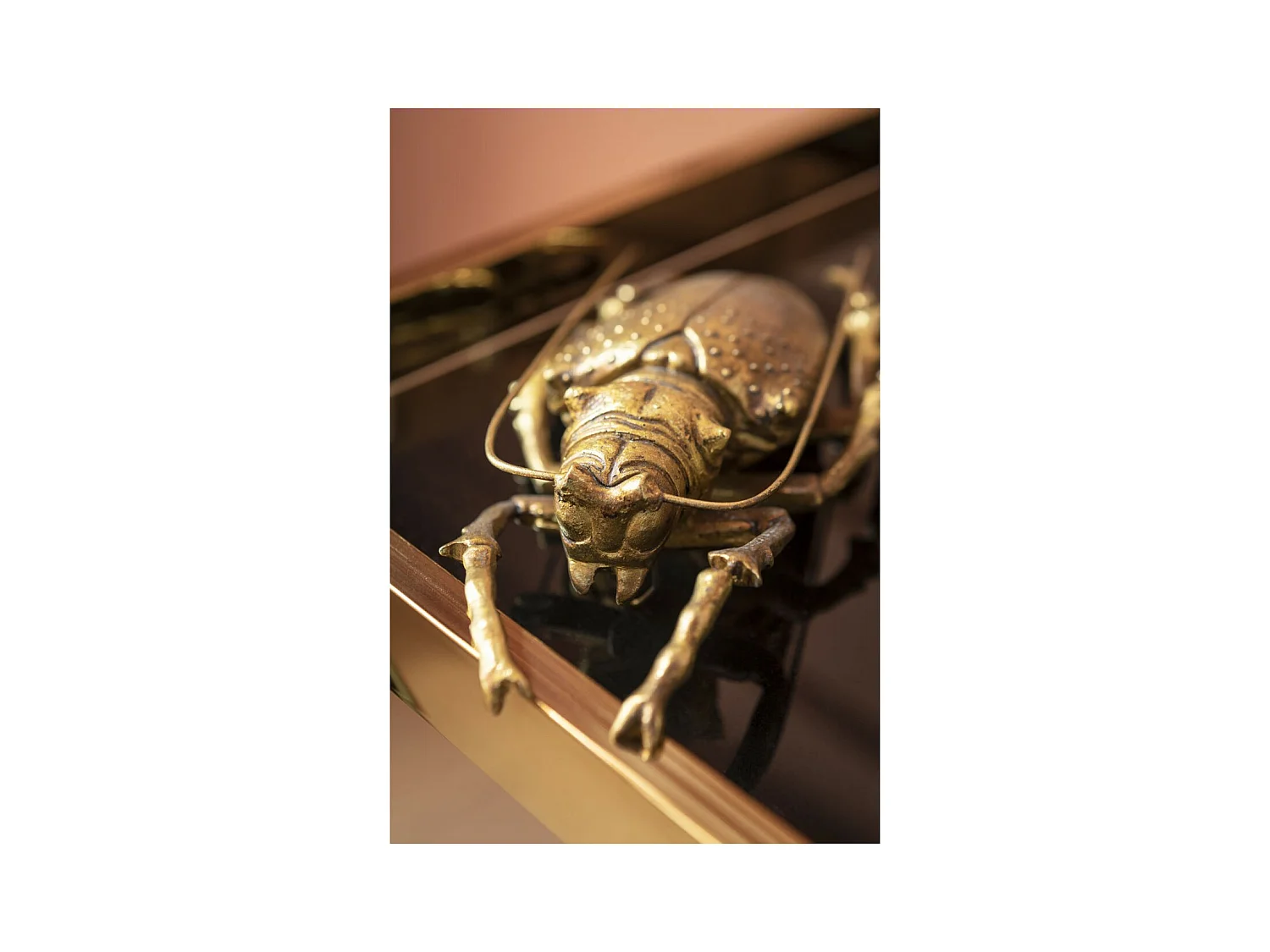 Decorazione da parete Longicorn Beetle oro