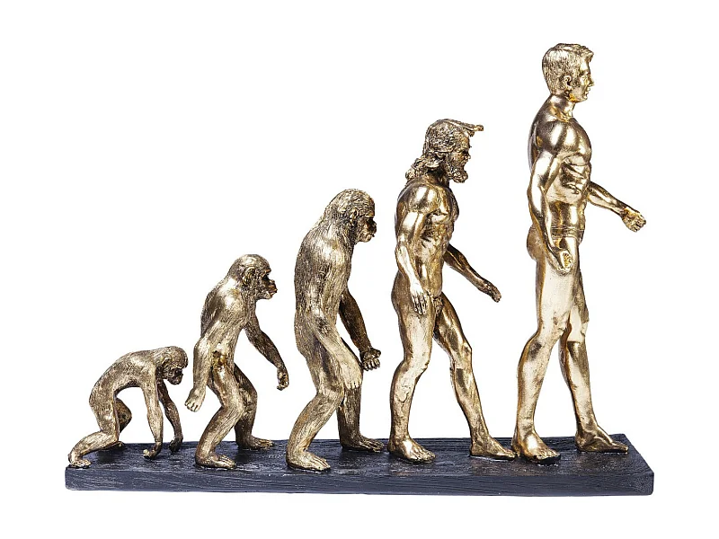 Figura decorativa Evolution