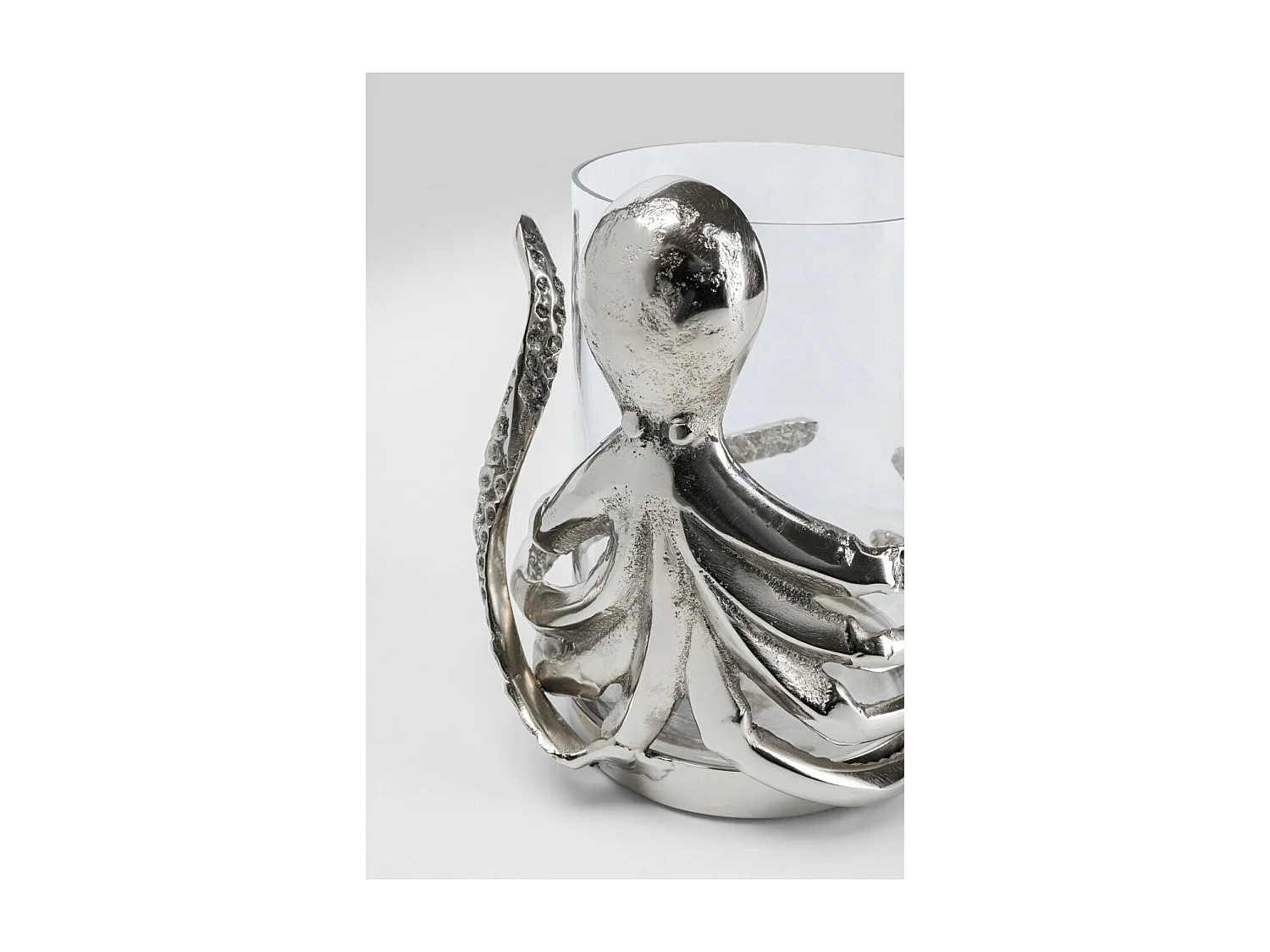 Photophore Clinging Octopus 10cm