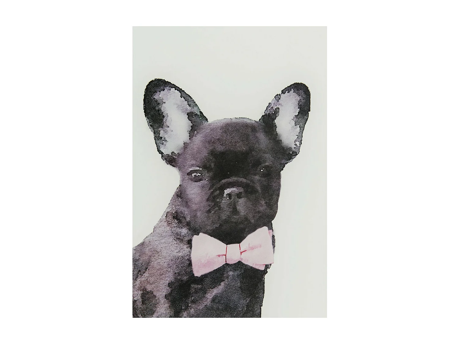 Tableau en verre Fashion Dog 60x80cm