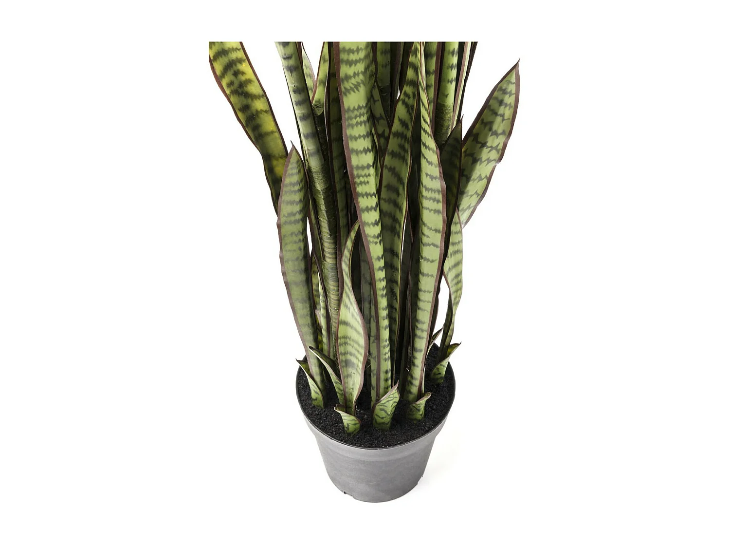Deko Pflanze Sansewieria 155cm