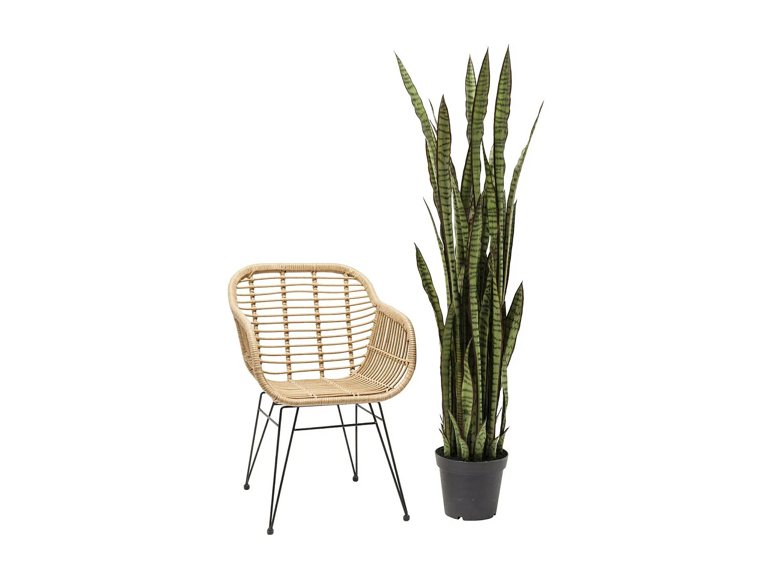 Deko Pflanze Sansewieria 155cm