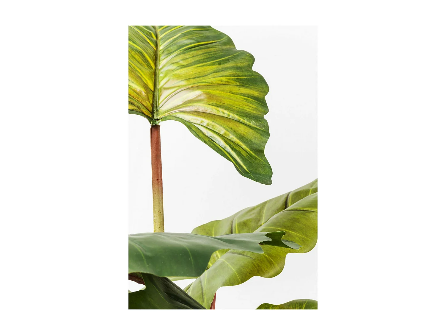 Deko Pflanze Rainforest Green 160cm